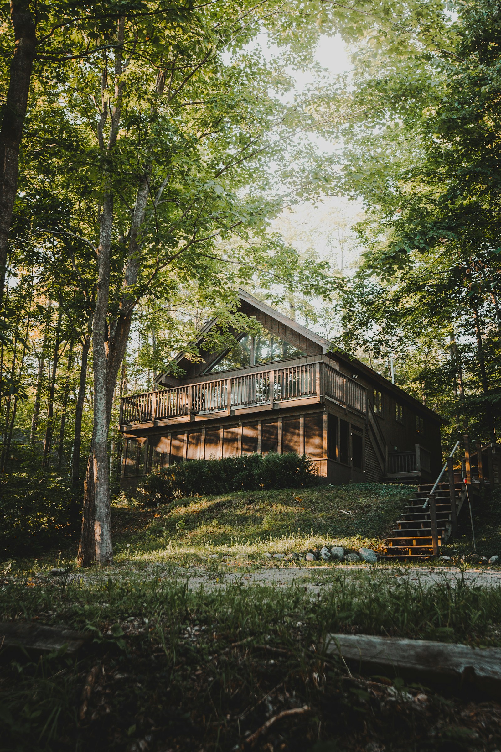 Maison à ossature bois entourée d'arbres verts en pleine journée