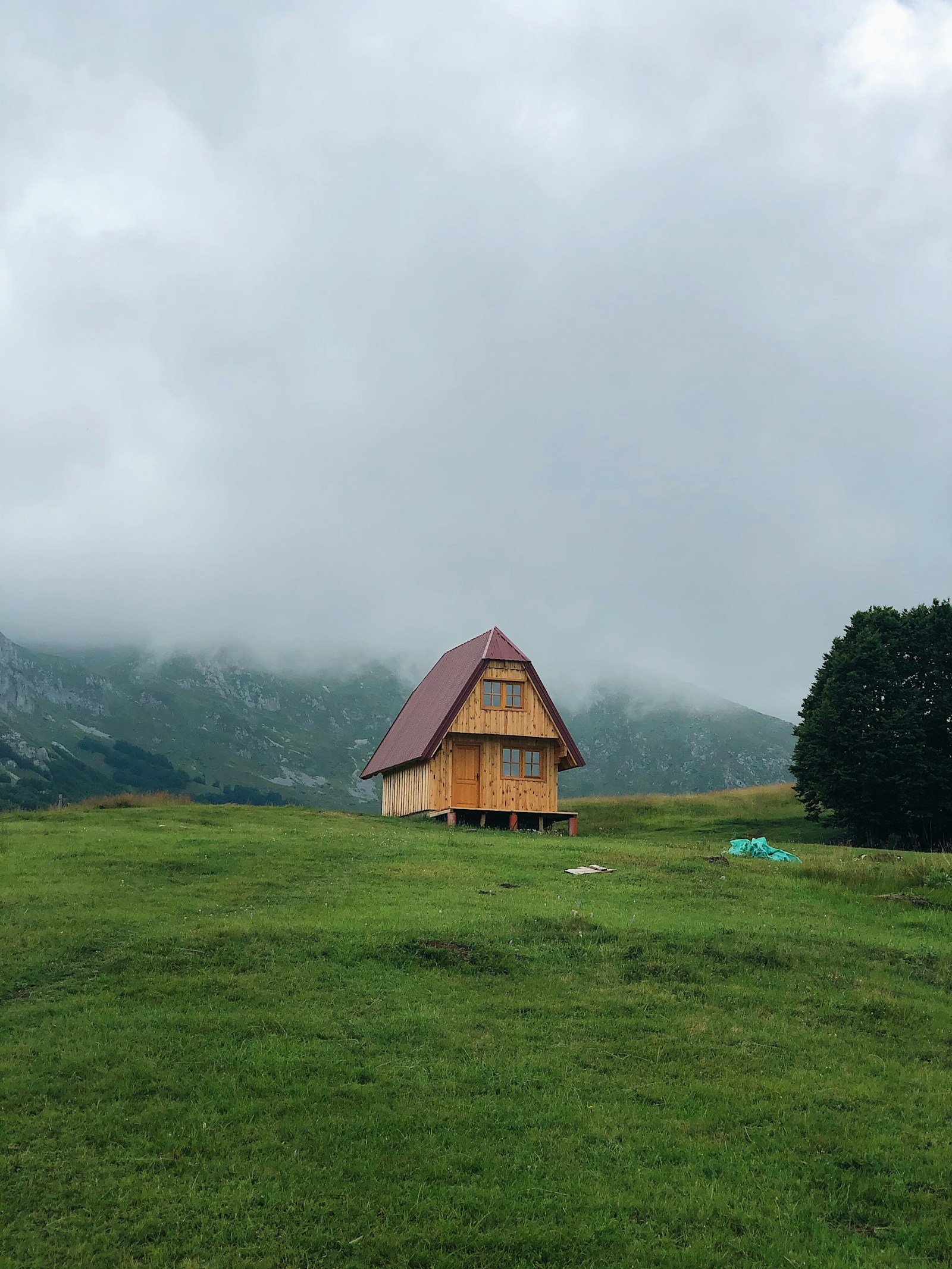Maison à ossature bois en prairie face à des montagnes